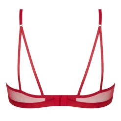 Adorable And Sexy Bralette 9 Adorable And Sexy Bralette -Annadiva Verkäufe adorableandsexybralette1 ach5985re