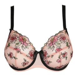 Eraclea Bügel BH 11 Eraclea Bügel BH -Annadiva Verkäufe eracleabeugelbh 0163560pft 1