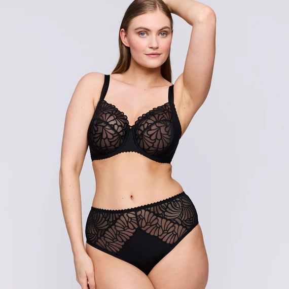 Gallipoli Taillenslip 4 Gallipoli Taillenslip – Bild 4