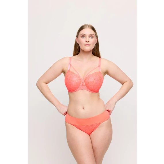 Sophora String 4 Sophora String – Bild 4